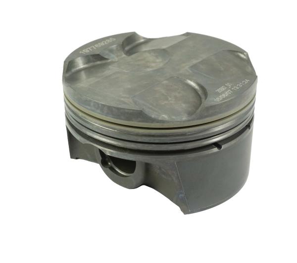 Mahle 197769205