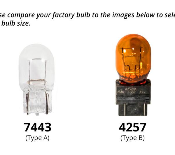 Diode Dynamics DD0462P