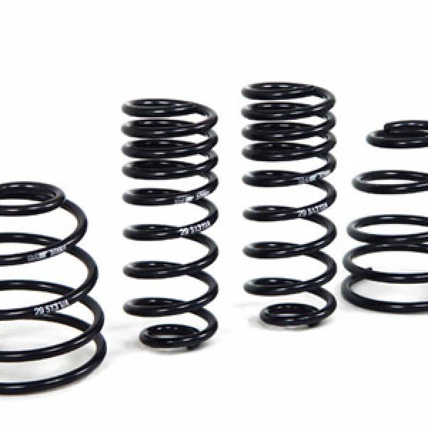 HR Sport Springs H&R 29513