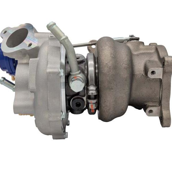 Forced Performance 2025285