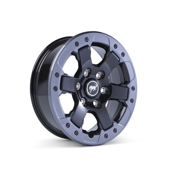 Ford Racing M-1007-DC17B