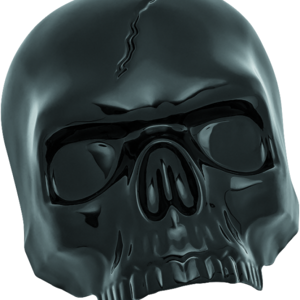 Kuryakyn 5731