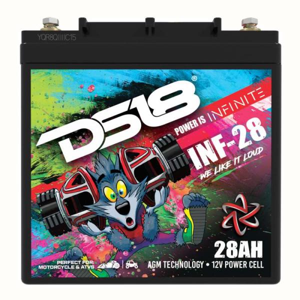 DS18 INF-28