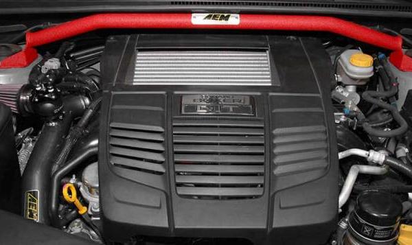 AEM Induction 29-0011WR