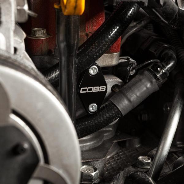 COBB 443700