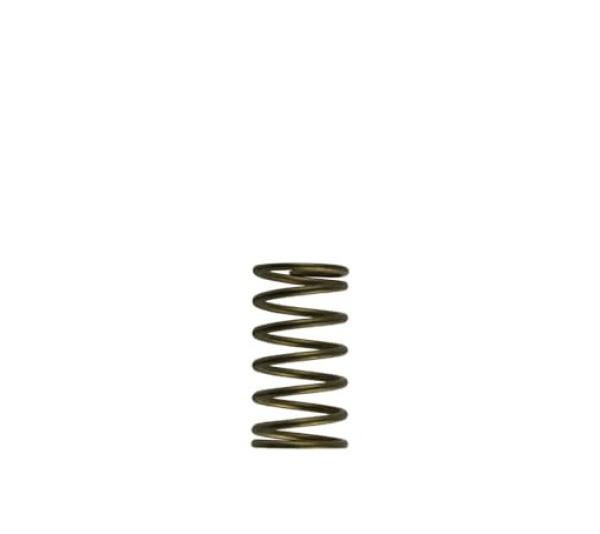 TS Wastegate Springs Turbosmart TS-0550-3089