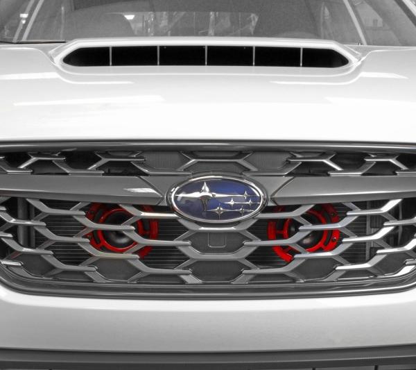 Perrin Performance PSP-BDY-305