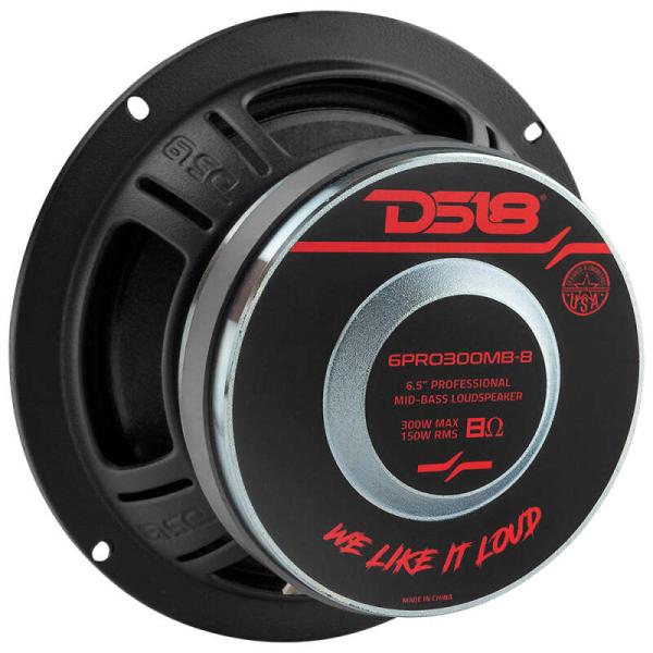 DS18 6PRO300MB-8