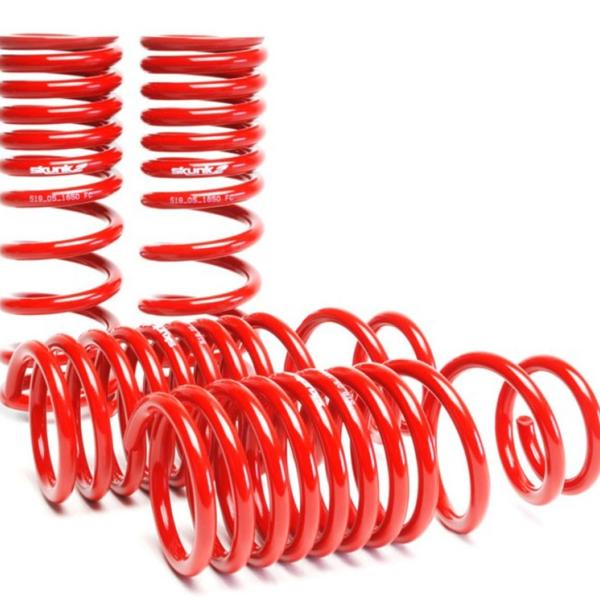 SK Lowering Springs Skunk2 Racing 519-05-1650