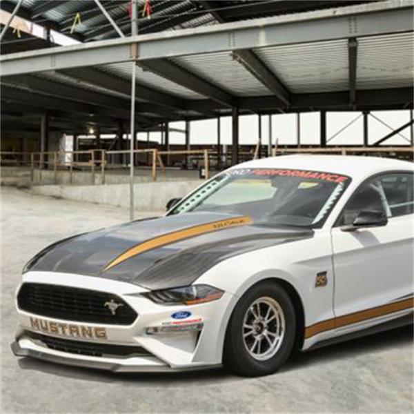 Ford Racing M-16612-AECJ