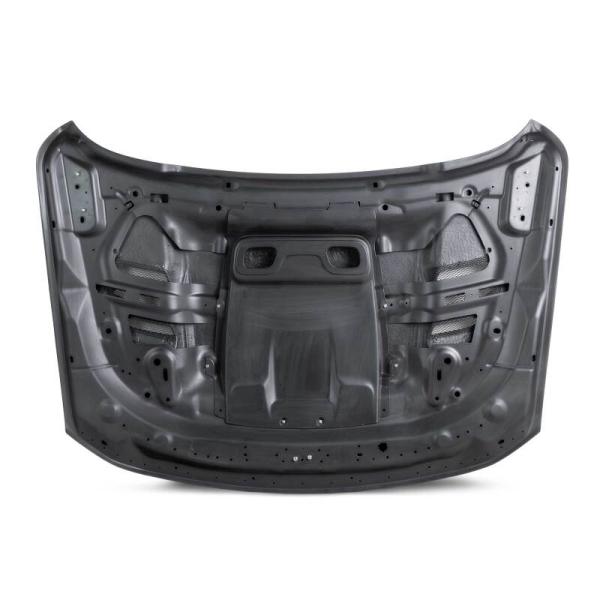 Anderson Composites AC-HD21DGTRX-OE
