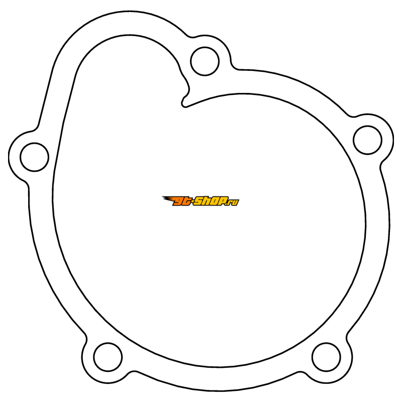 Cometic Gasket C4913 CG Water Pump Repair Kit