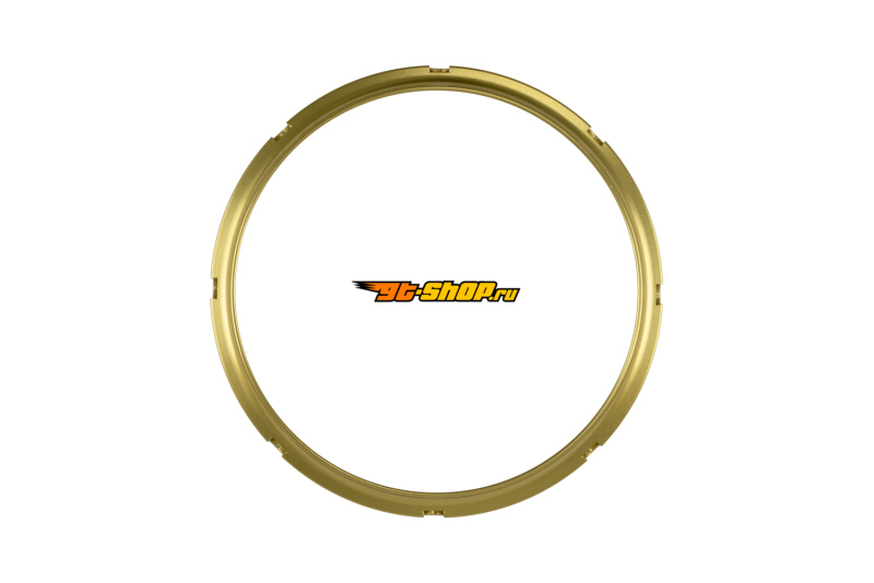 Turbosmart TS-0550-3161 TS Wastegate Accessories