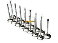Brian Crower BC3135 BC Exhaust Valve Sets